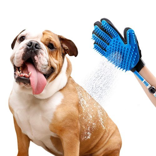 Tips Clean Your Dog Head To Toe